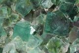 Large, Fluorite & Galena Plate - Rogerley Mine (Clearance Price) #32398-3